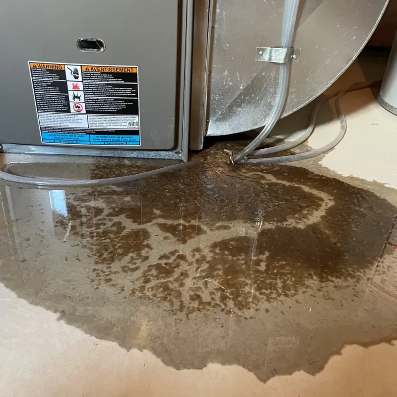 Appliance Leak Cleanup in Cloverdale, IN